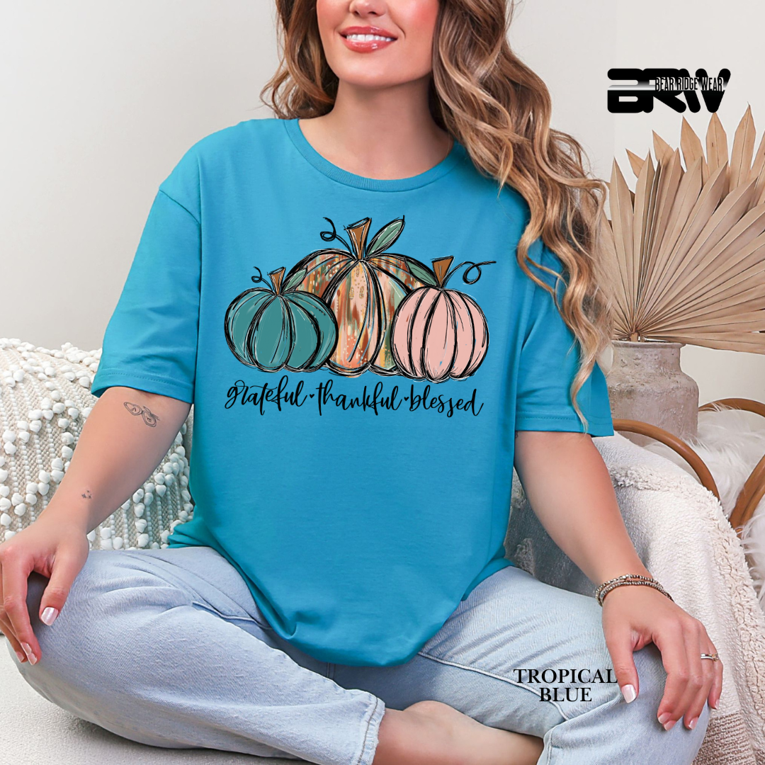 'Grateful Thankful Blessed' Fall Tee 3
