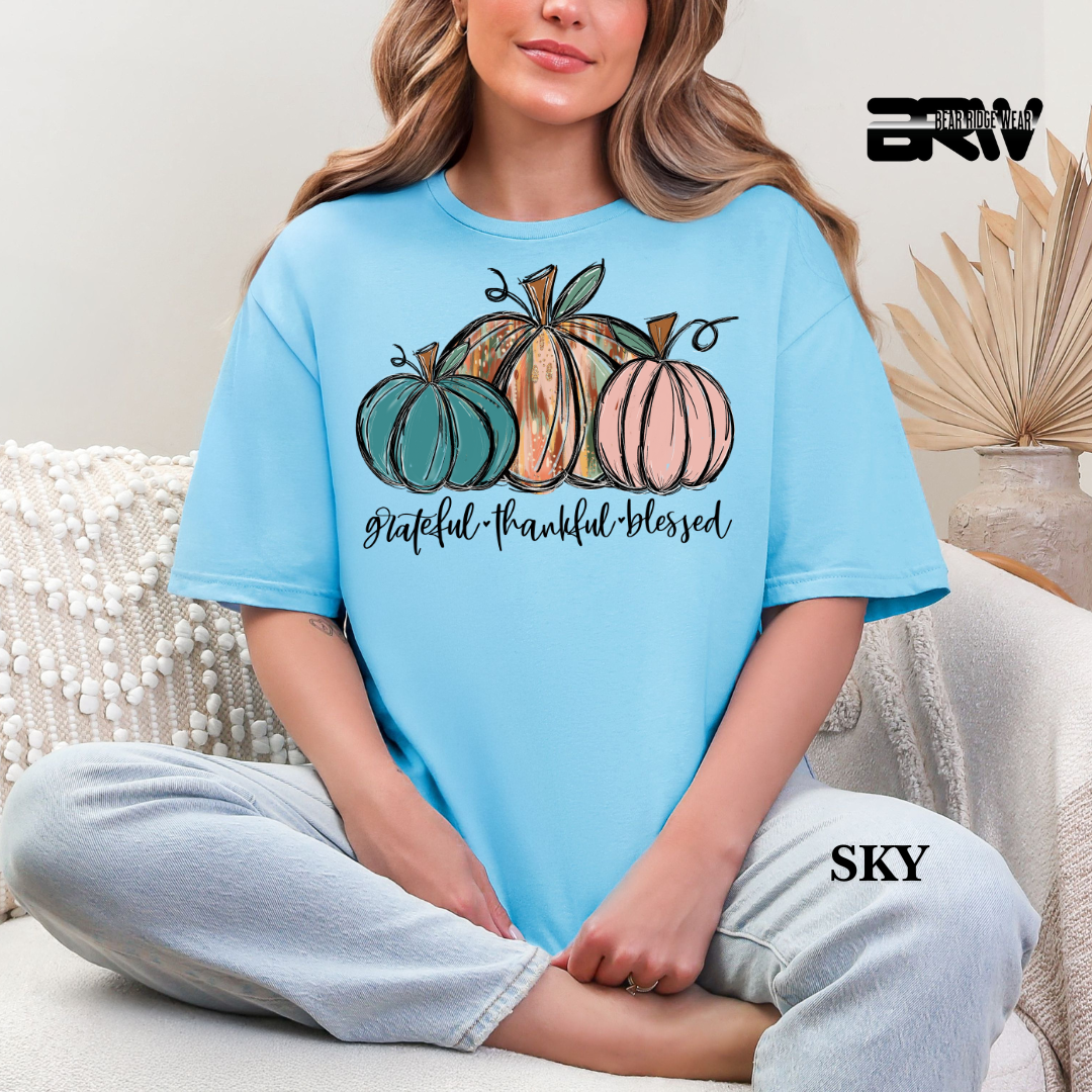'Grateful Thankful Blessed' Fall Tee 3