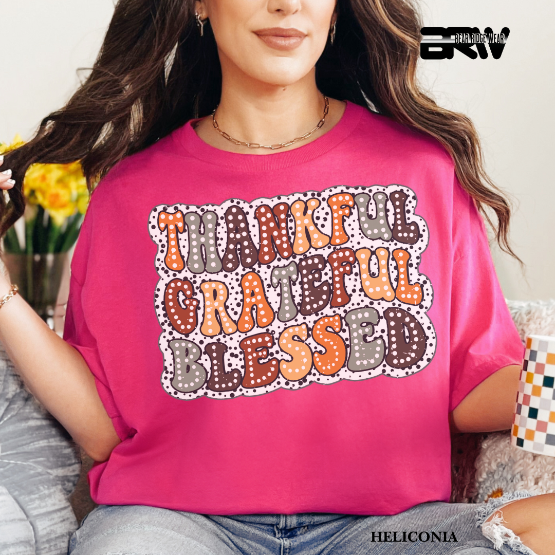 'Thankful Grateful Blessed' Fall Tee 3