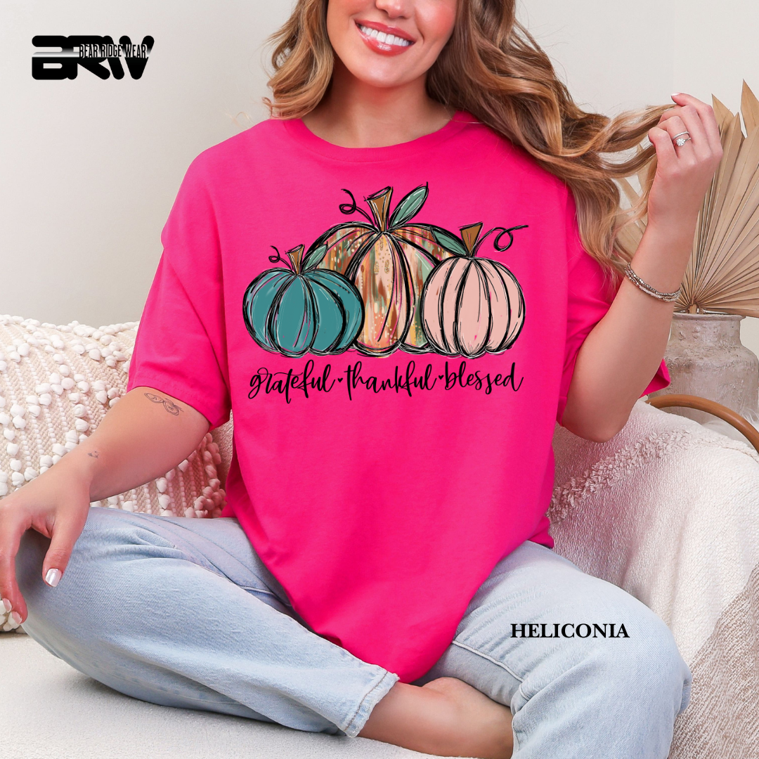 'Grateful Thankful Blessed' Fall Tee 3