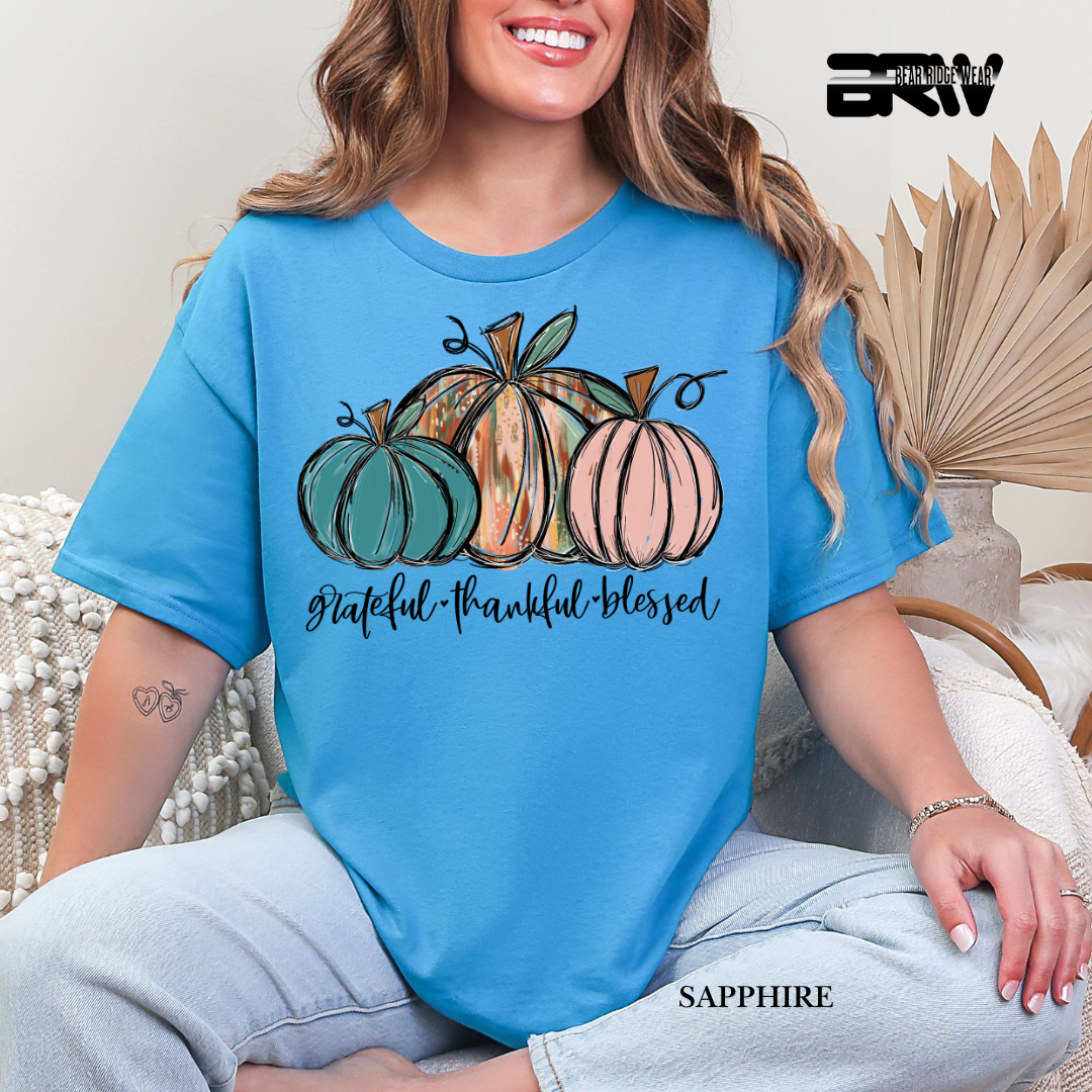 'Grateful Thankful Blessed' Fall Tee 3