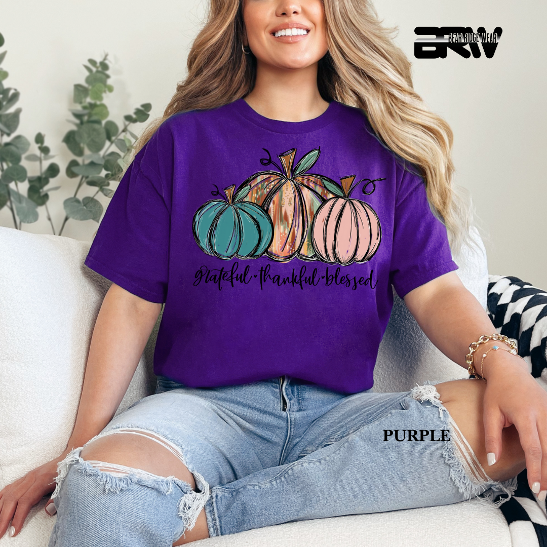 'Grateful Thankful Blessed' Fall Tee 3