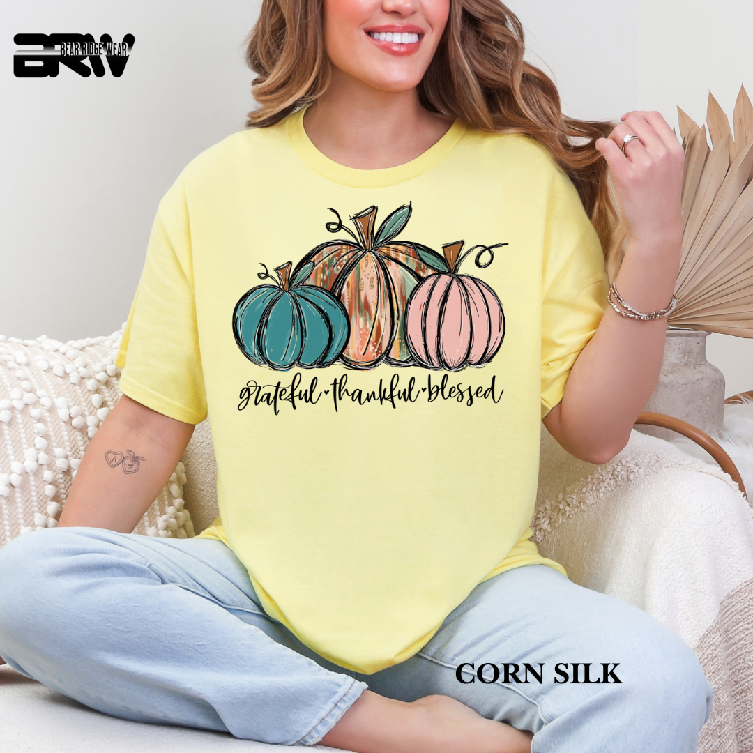 'Grateful Thankful Blessed' Fall Tee 3