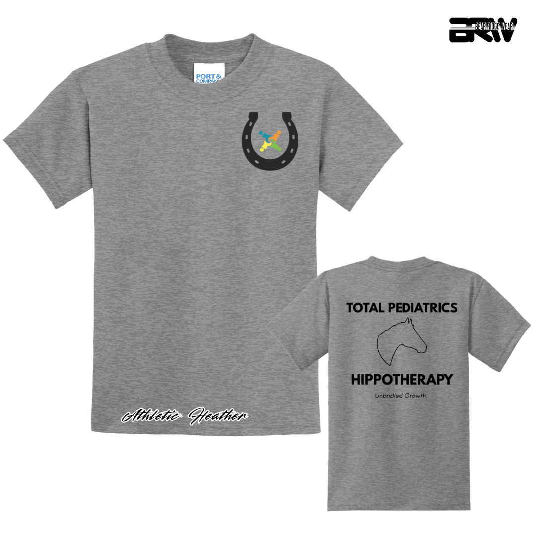 Gray t-shirt with a horseshoe and rainbow design on the front, and text on the back, on a white background.