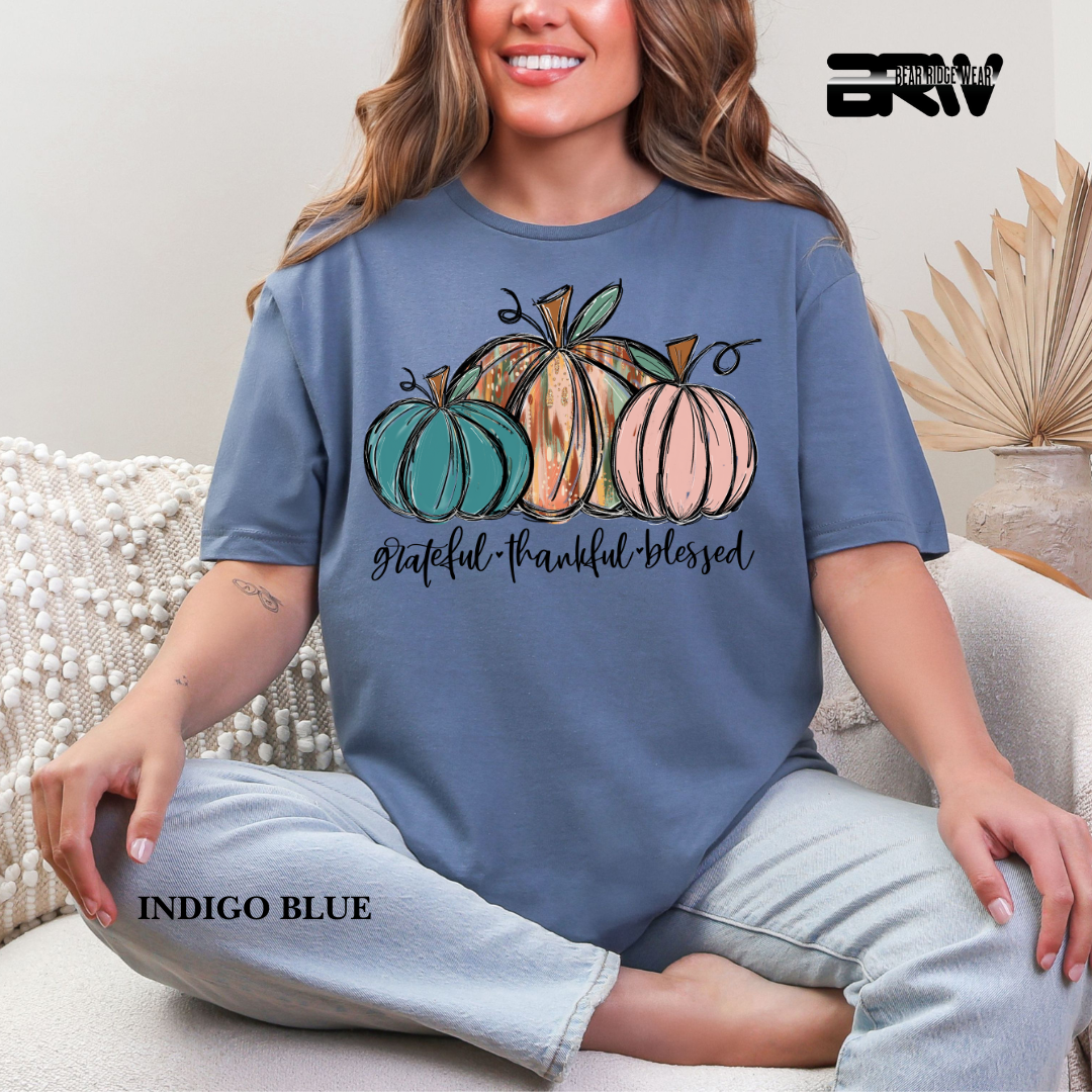 'Grateful Thankful Blessed' Fall Tee 3