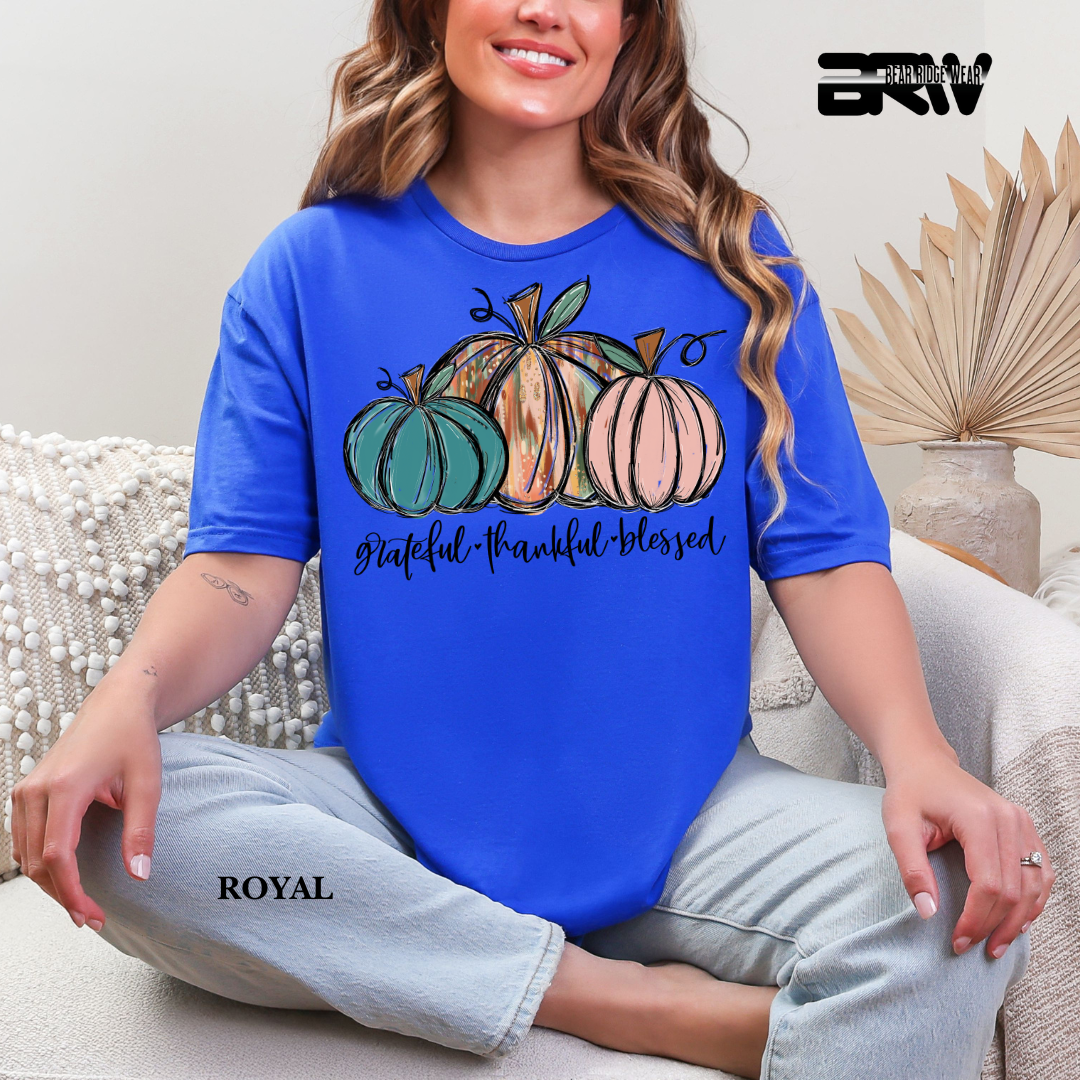 'Grateful Thankful Blessed' Fall Tee 3