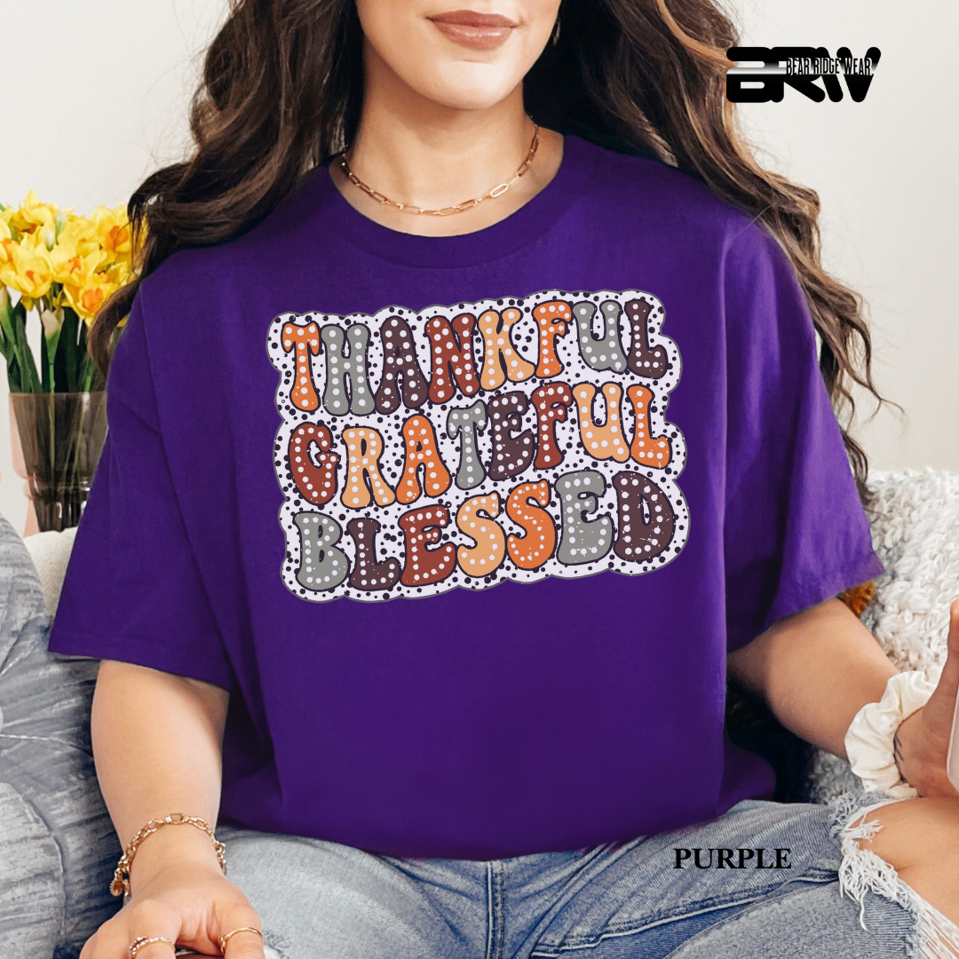 'Thankful Grateful Blessed' Fall Tee 3