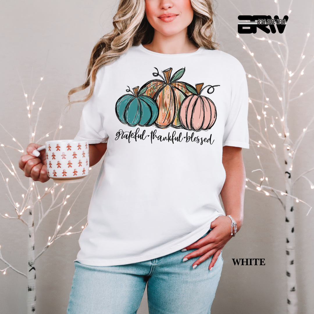 'Grateful Thankful Blessed' Fall Tee 3